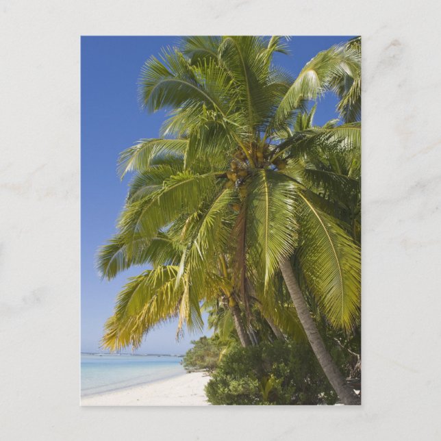 Beach on One Foot island, Aitutaki, Cook Islands Postcard (Front)