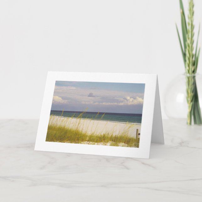 beach on the Gulf of Mexico 2 card (Front)