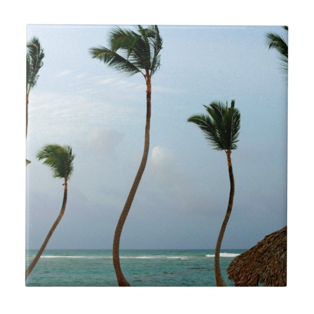 Beach Palm Tile (Front)