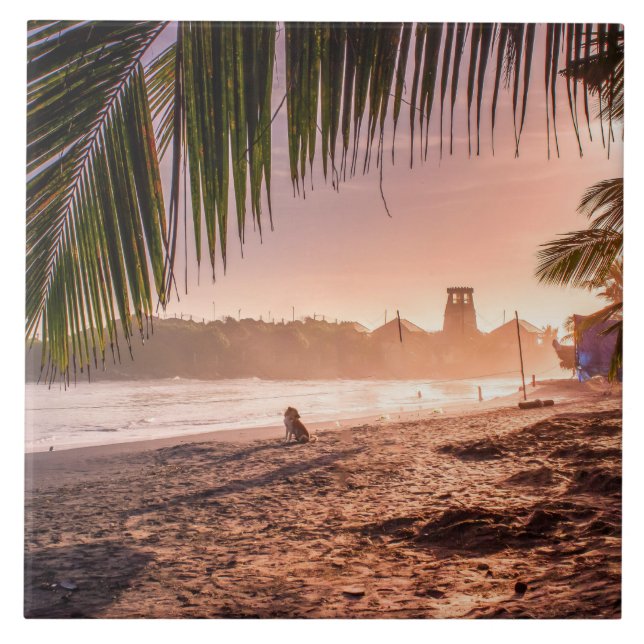 Beach Palm Tree Calm Sunset Tile (Front)