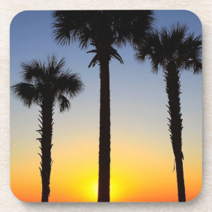 Beach Palm Trees Coaster