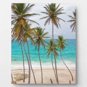 Beach Palms Plaque