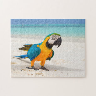 Beach Parrot Jigsaw Puzzle