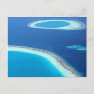 Beach Party Ocean Fun Save The Date Blank Custom Announcement Postcard