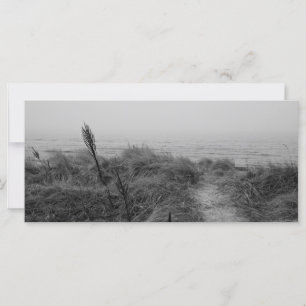 Beach path