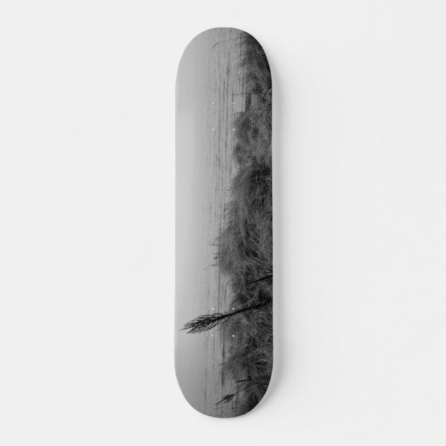 Beach path skateboard (Front)