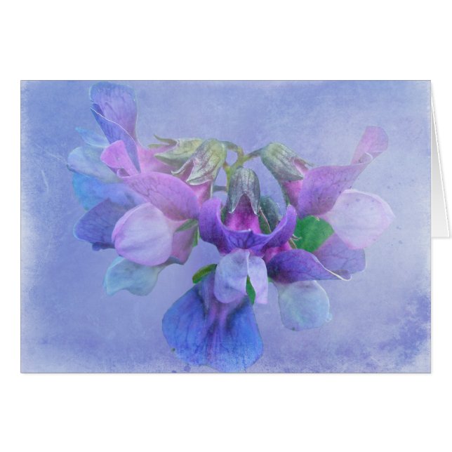 Beach Pea Flowers (Front Horizontal)