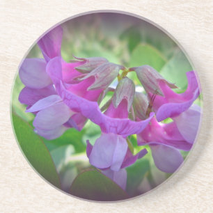 Beach Pea - Lathyrus japonicus - Wildflower Coaster