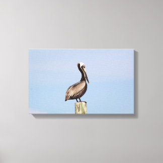 Beach Pelican Fishing Canvas Photograph Print
