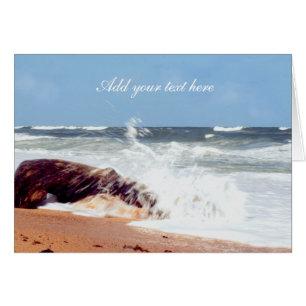 Beach Photography- Log