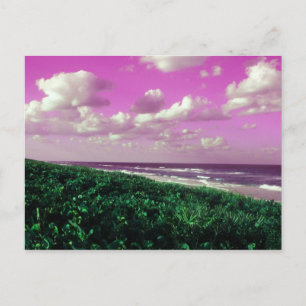 beach post card