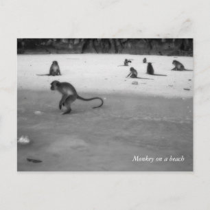 Beach Postcard