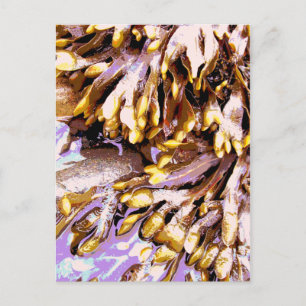 BEACH POSTCARD
