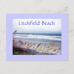 BEACH POSTCARD, Litchfield Beach Postcard