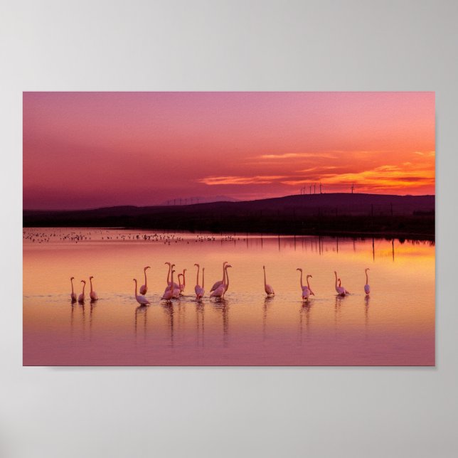 Beach  poster (Front)