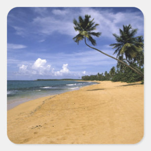 Beach Puerto Rico 2 Square Sticker