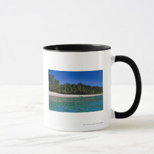 Beach, raft in a distance mug