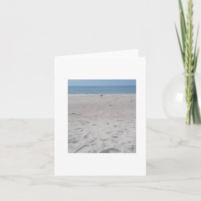 Beach Sand Piper, Blank Card personalization (Front)