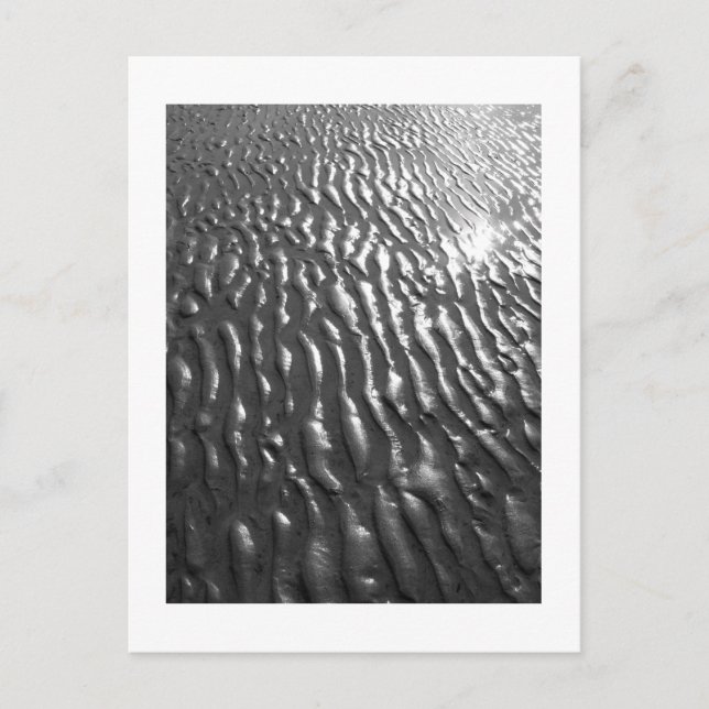 Beach Sand Ripples  Postcard (Front)