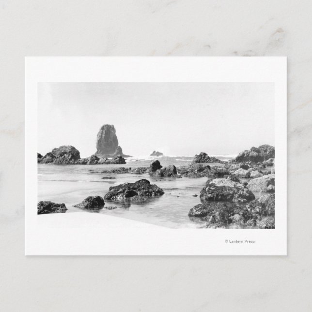 Beach Scene at Cannon Beach, Oregon Photograph Postcard (Front)