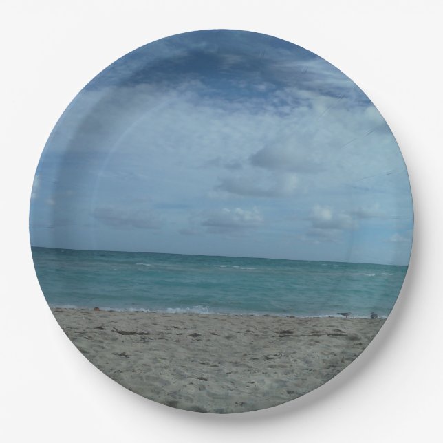 BEACH SCENE PAPER PLATE (Front)