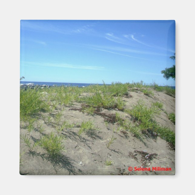 Beach Scene Photo Magnet (Front)