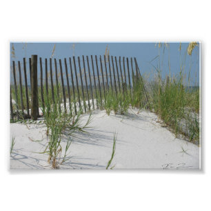 Beach Scene Photo Print