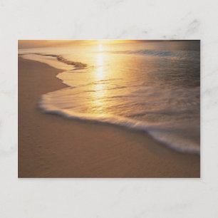 beach scene postcard