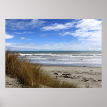 Beach Scene