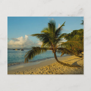 Beach scenic postcard