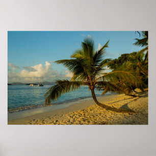 Beach scenic poster