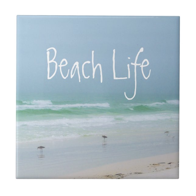 Beach sea birds aqua blue tile (Front)