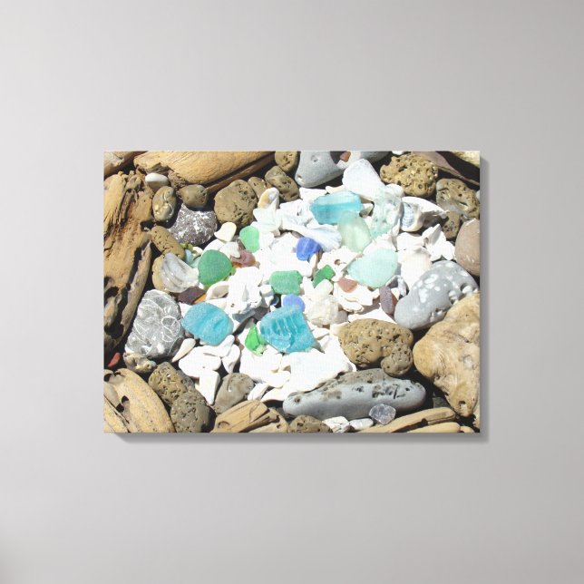 Beach Sea Glass art prints Sea Shells Fossils (Front)