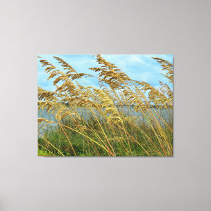 Beach Sea Oats Canvas Print