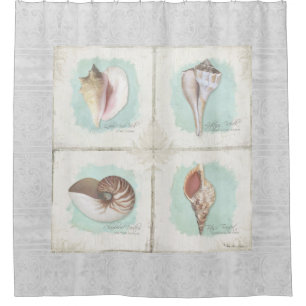 Beach Sea Shells Seaside Ocean Shore Coastal Decor