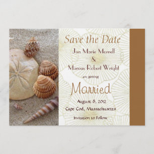 Beach Sea Shells Wedding Save the Date Card