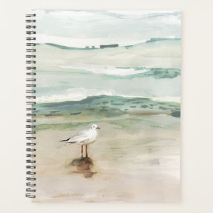 Beach Seagull Cove