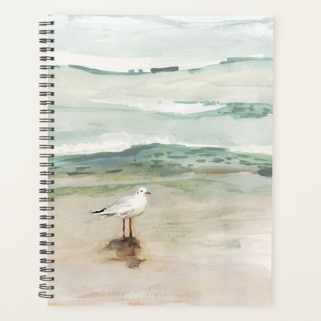 Beach Seagull Cove (Devant)