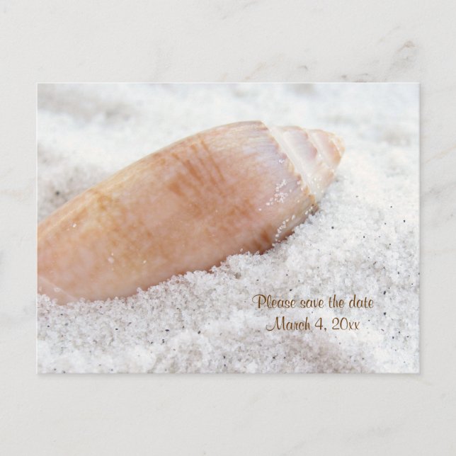 Beach Seashell Save the Date Wedding Postcard (Front)