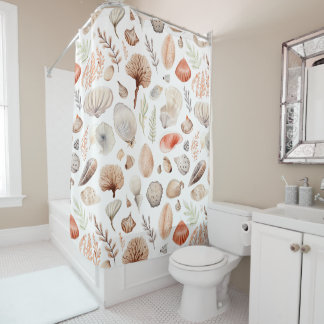 Beach Seashell Seaside Coastal