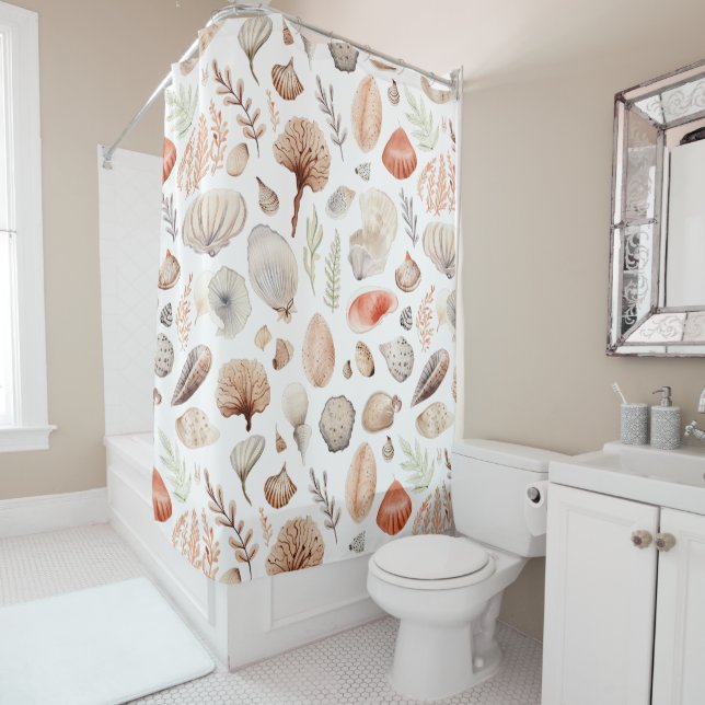 Beach Seashell Seaside Coastal (In Situ)