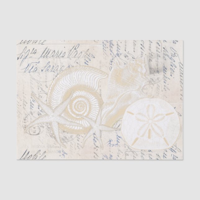 Beach Seashells Cream Italian Writing Tissue Paper (Front)