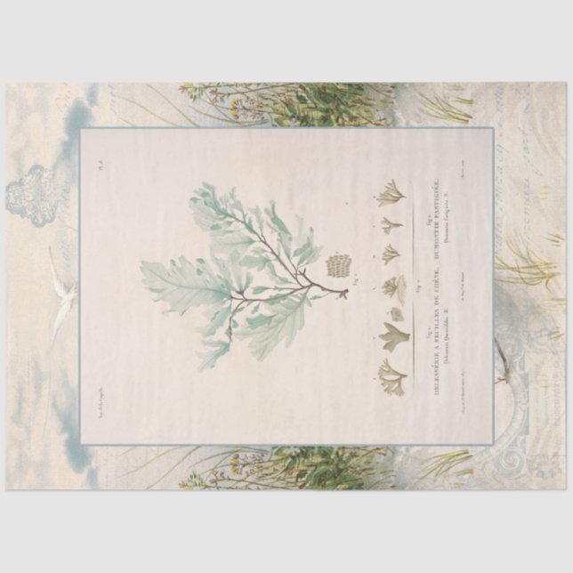 Beach Seashore Botanical Sea Weed Blue Decoupage Tissue Paper (Front)