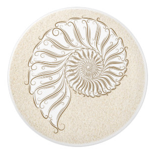 Beach Shell Drawer Knobs