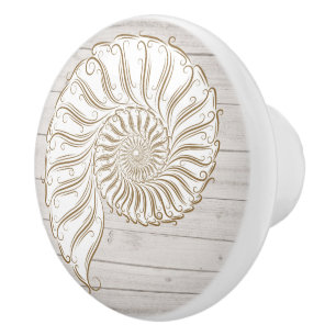 Beach Shell Drawer Knobs
