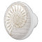 Beach Shell Drawer Knobs