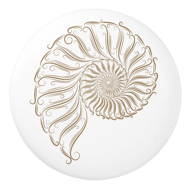 Beach Shell Drawer Knobs (Front)