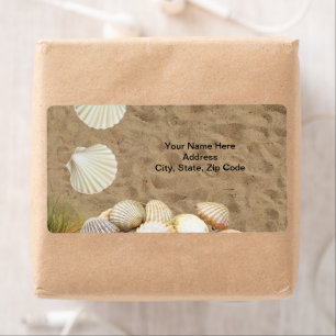 Beach Shells Clams Sand  Labels
