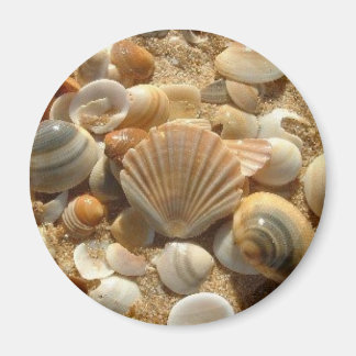 Beach Shells Magnet