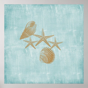 Beach shells poster